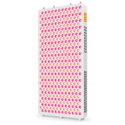 RLT panel RegenaRay PRO600